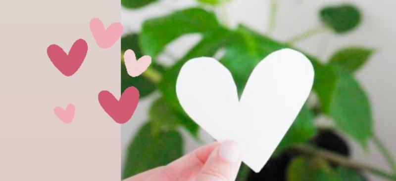 liefde innerlijk uiterlijk