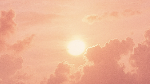 zon